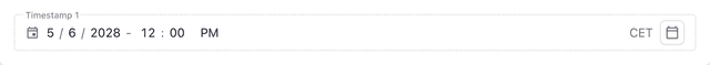 A screenshot of a timestamp field in the Page Builder.
