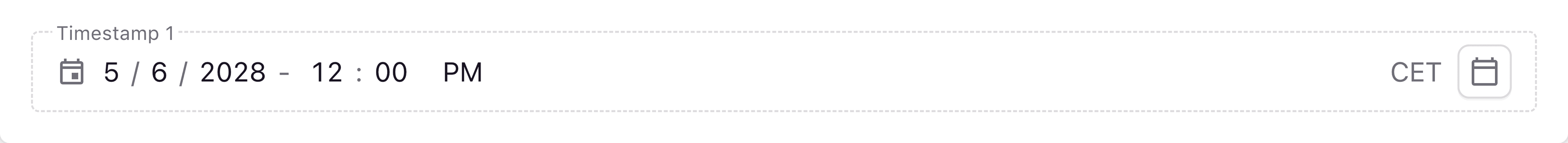 A screenshot of a timestamp field in the Page Builder.